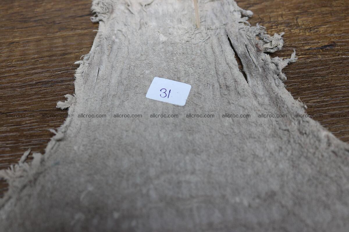 Crocodile skin belly capiccino color 1229 Foto 9