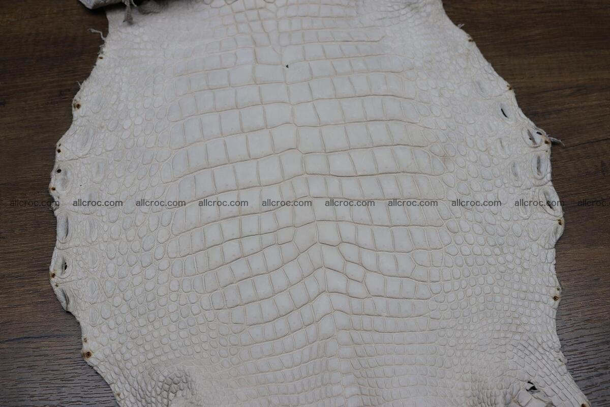 Crocodile skin belly capiccino color 1229 Foto 1