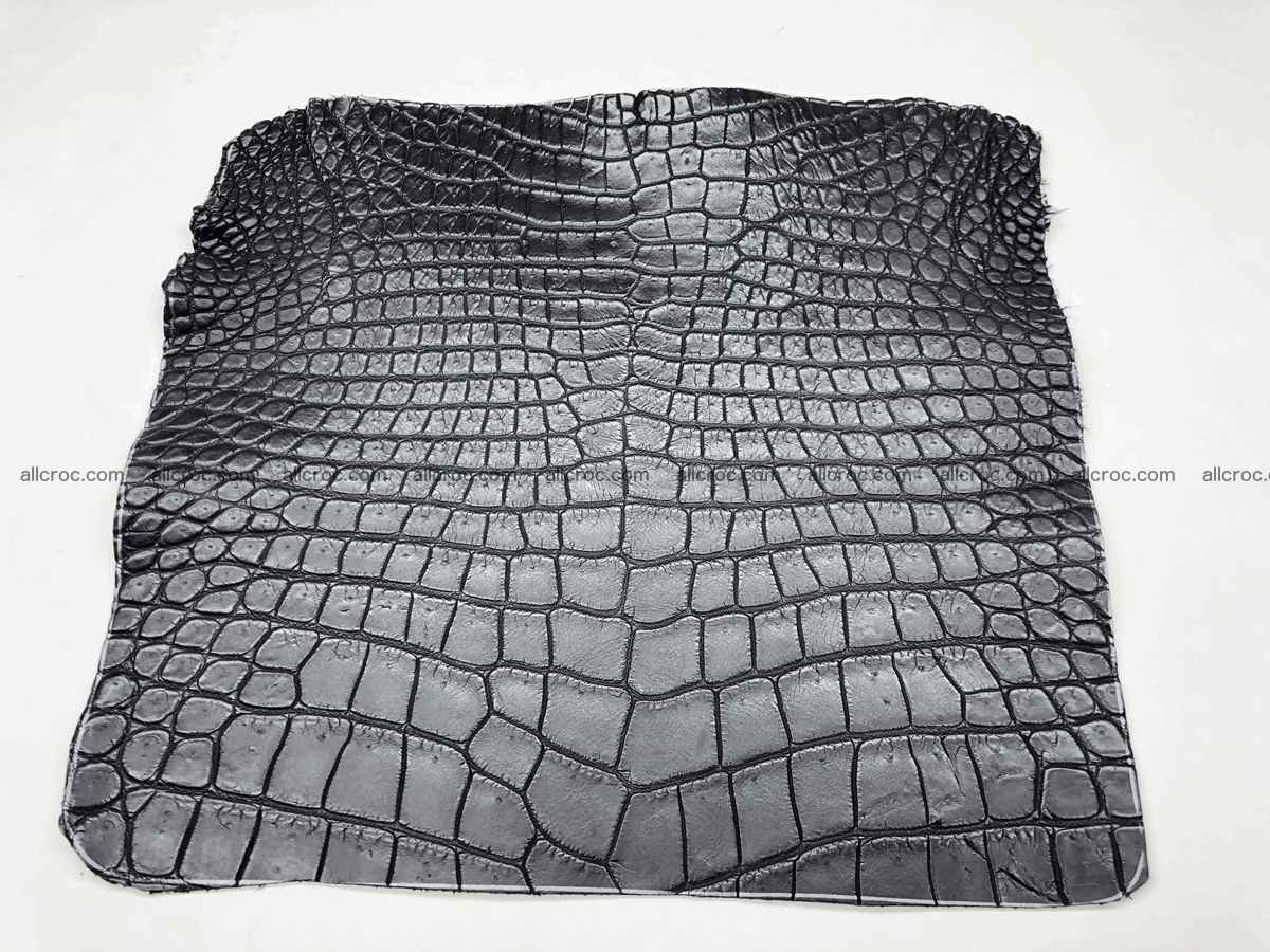 Crocodile skin belly 24cm x 21cm 565 Foto 0
