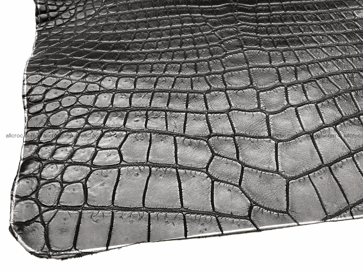 Crocodile skin belly 24cm x 21cm 565 Foto 3