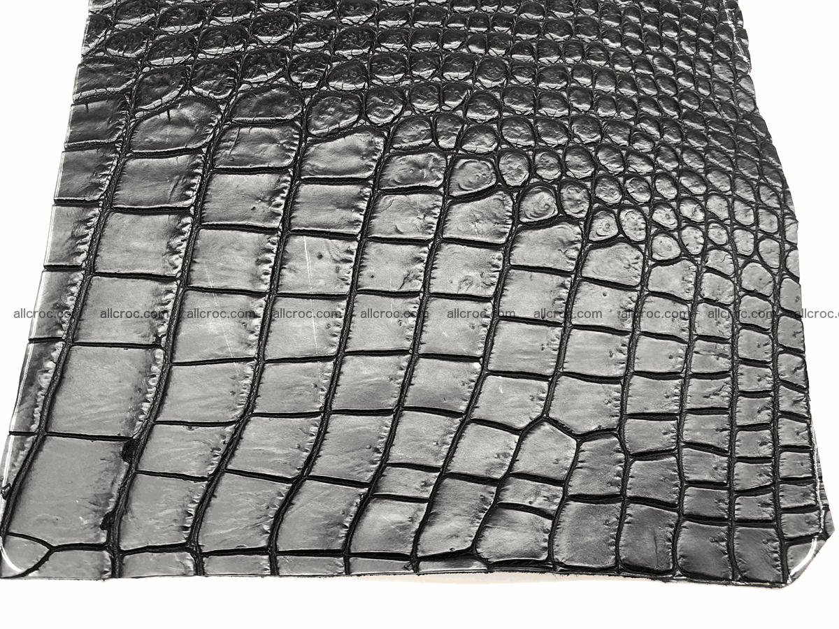 Crocodile skin belly 24cm x 21cm 566 Foto 1
