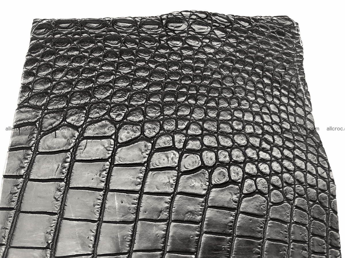 Crocodile skin belly 24cm x 21cm 566 Foto 2