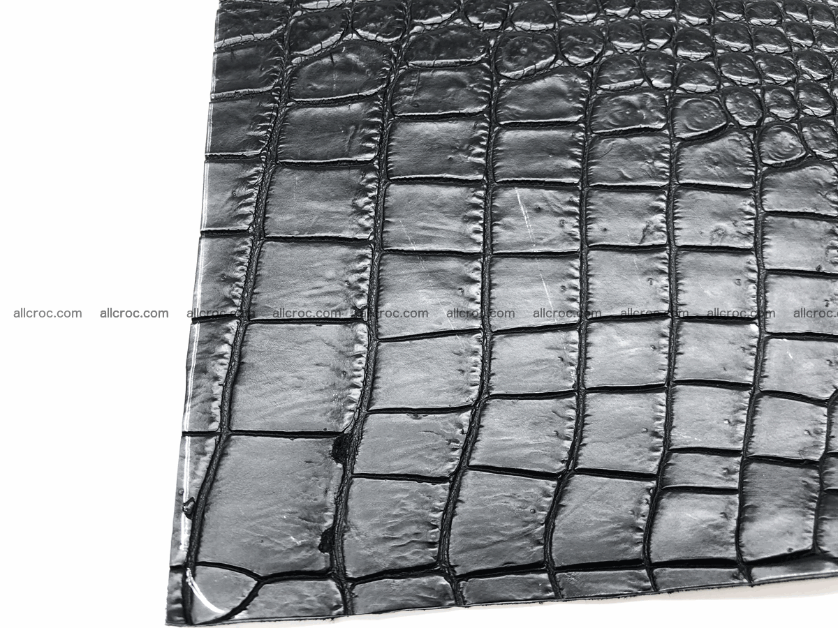 Crocodile skin belly 24cm x 21cm 566 Foto 4