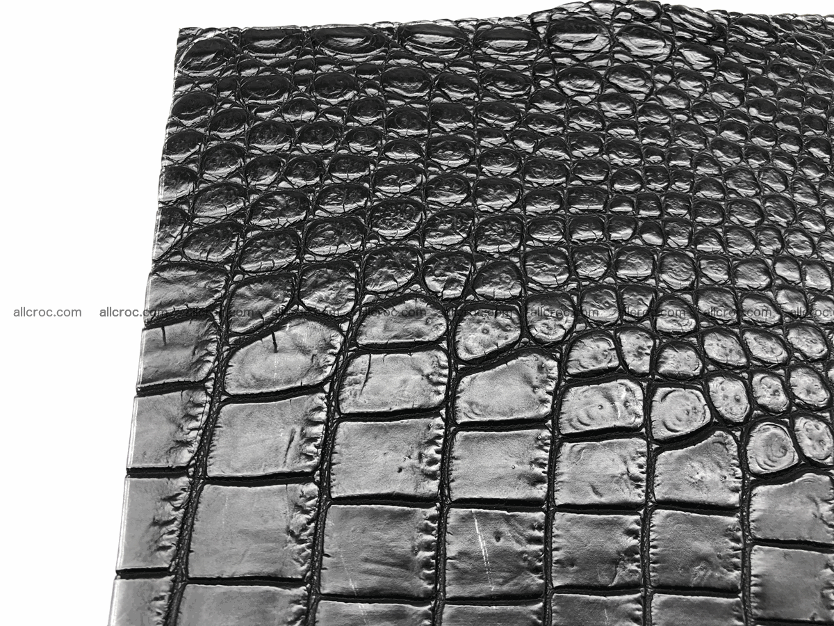 Crocodile skin belly 24cm x 21cm 566 Foto 5