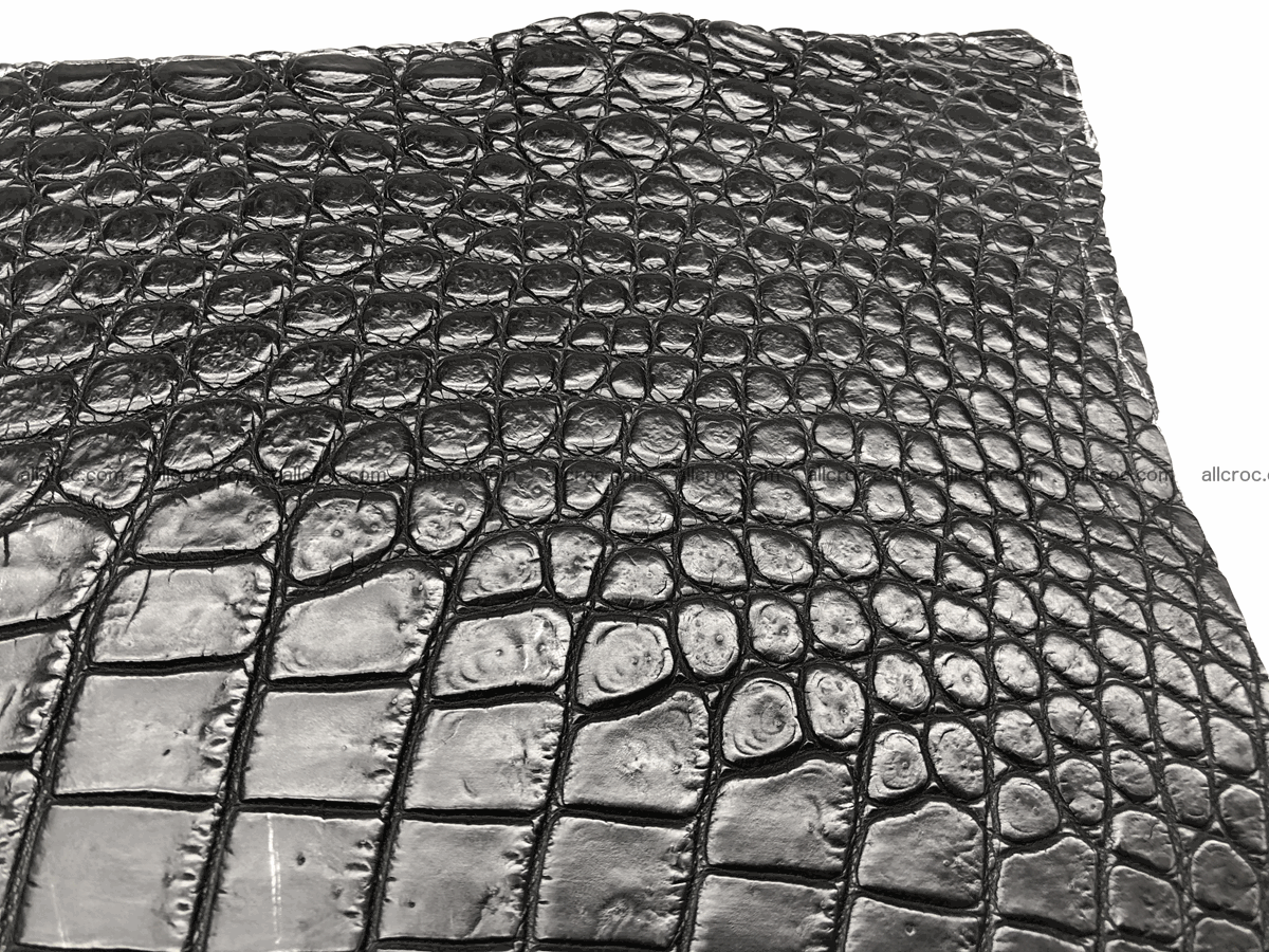 Crocodile skin belly 24cm x 21cm 566 Foto 3