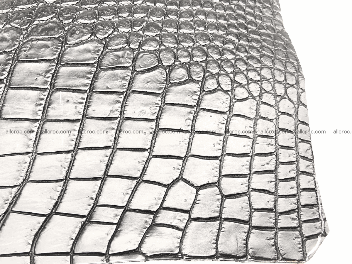 Crocodile skin belly 24cm x 21cm 566 Foto 6