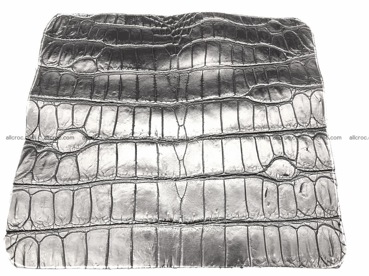 Crocodile skin belly 24cm x 21cm 567 Foto 0