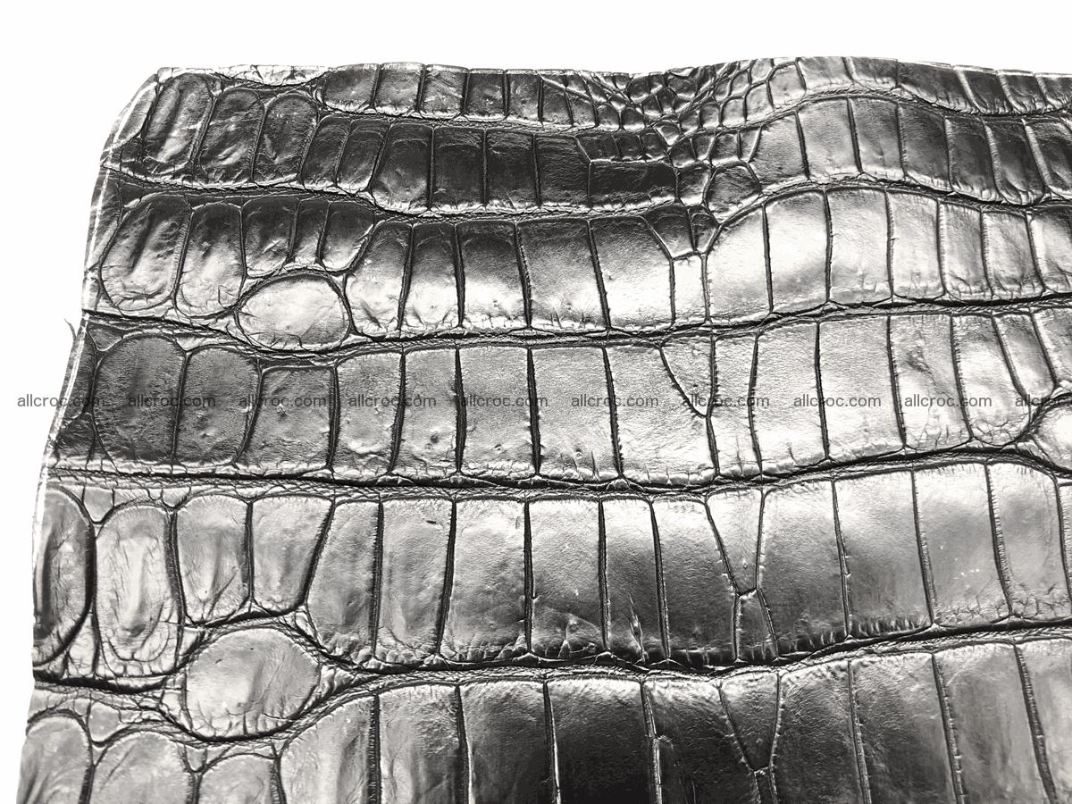 Crocodile skin belly 24cm x 21cm 567 Foto 6