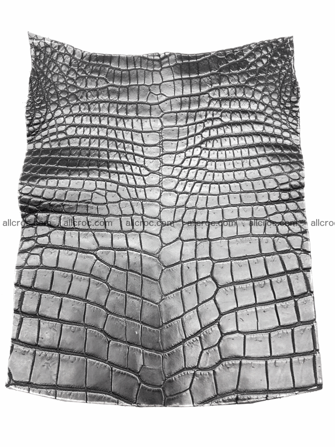 Crocodile skin belly 20cm x 24cm 563 Foto 0
