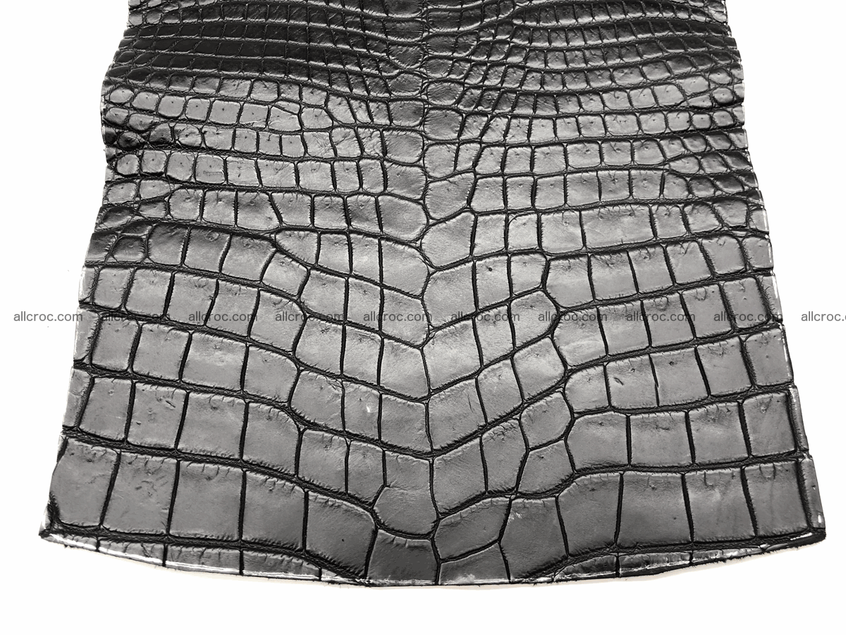 Crocodile skin belly 20cm x 24cm 563 Foto 1