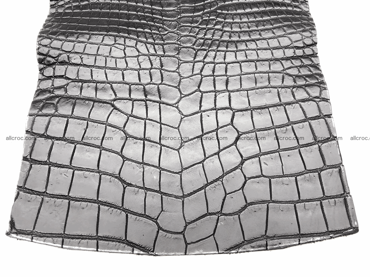 Crocodile skin belly 20cm x 24cm 563 Foto 2