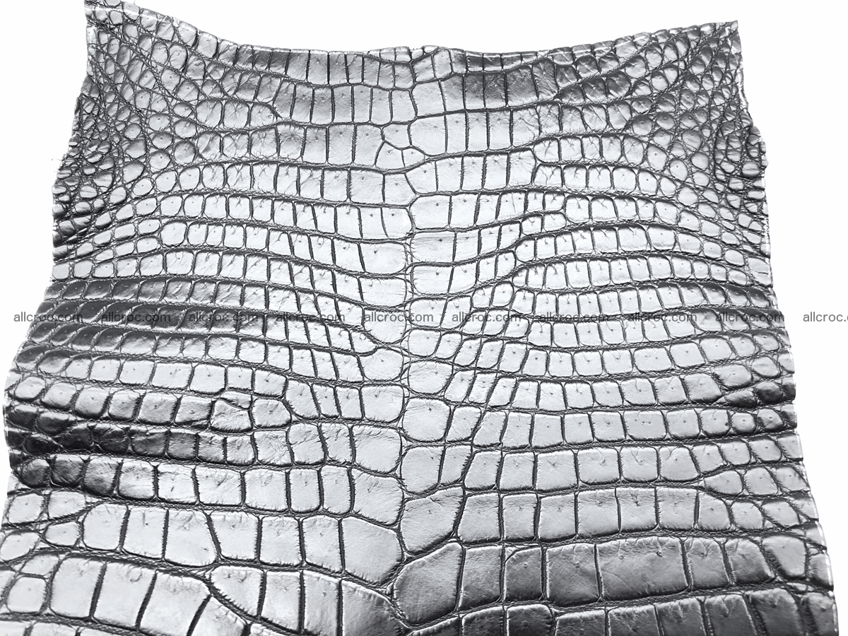Crocodile skin belly 20cm x 24cm 563 Foto 3