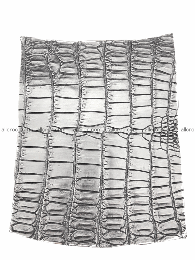 Crocodile skin belly 20cm x 24cm 564 Foto 0