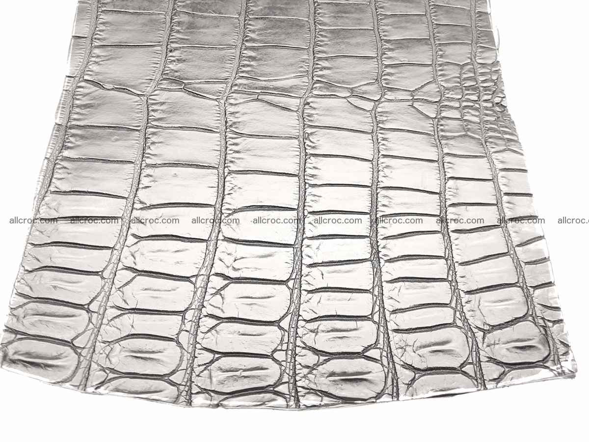 Crocodile skin belly 20cm x 24cm 564 Foto 1