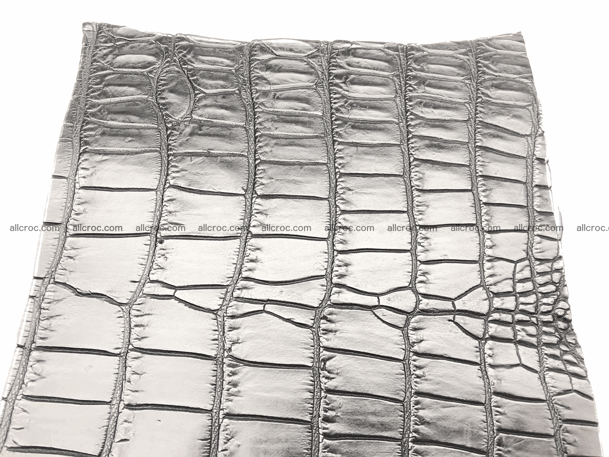 Crocodile skin belly 20cm x 24cm 564 Foto 8