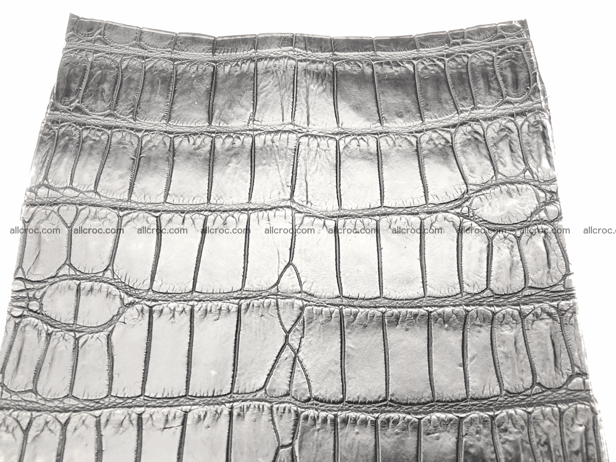 Crocodile skin belly 20cm x 24cm 564 Foto 6