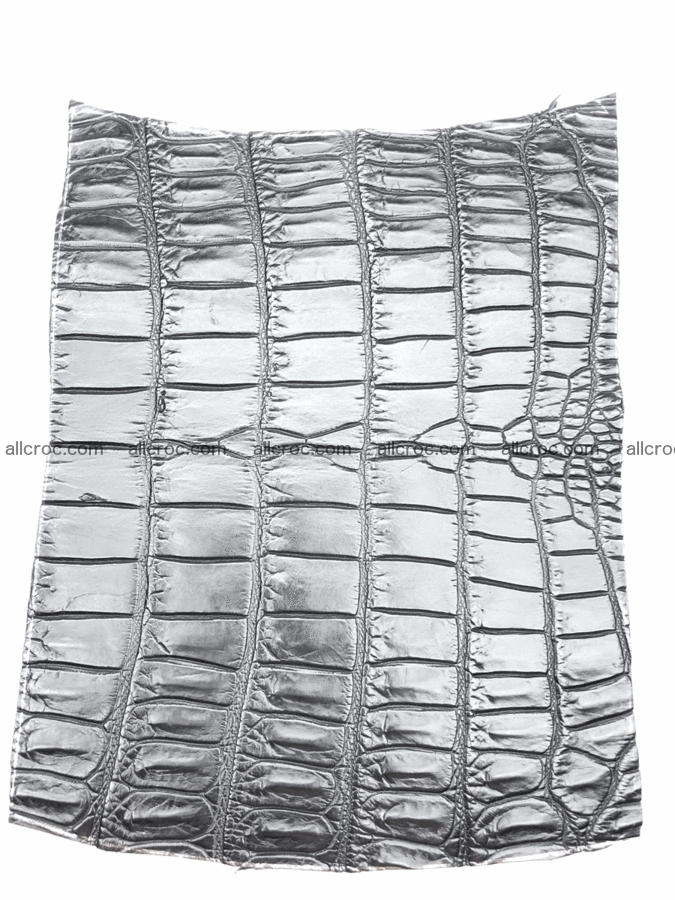 Crocodile skin belly 20cm x 24cm 564 Foto 7