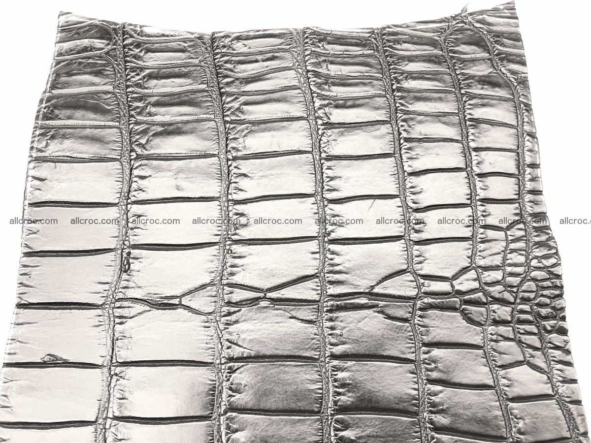 Crocodile skin belly 20cm x 24cm 564 Foto 2