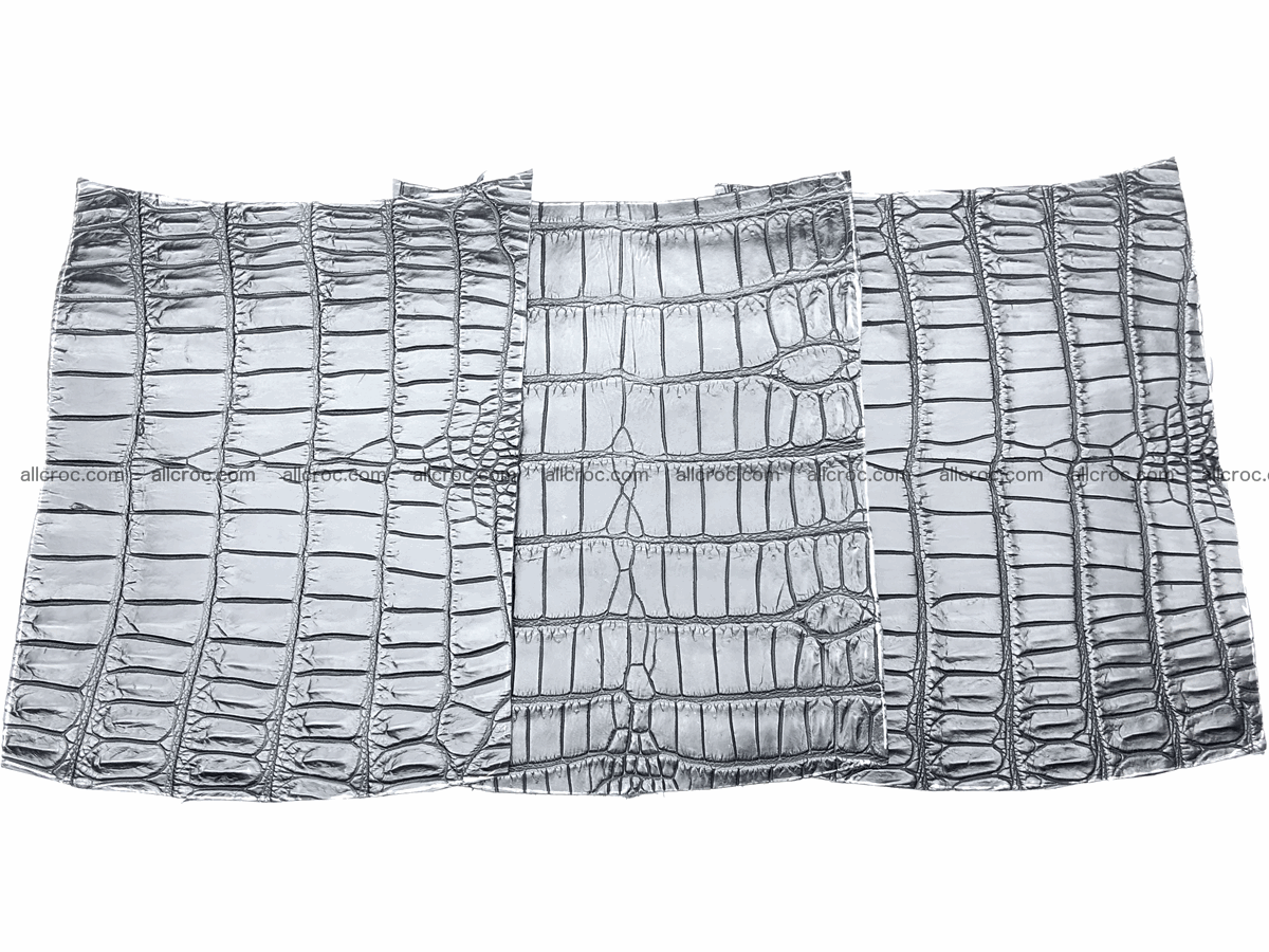 Crocodile skin belly 20cm x 24cm 564 Foto 3