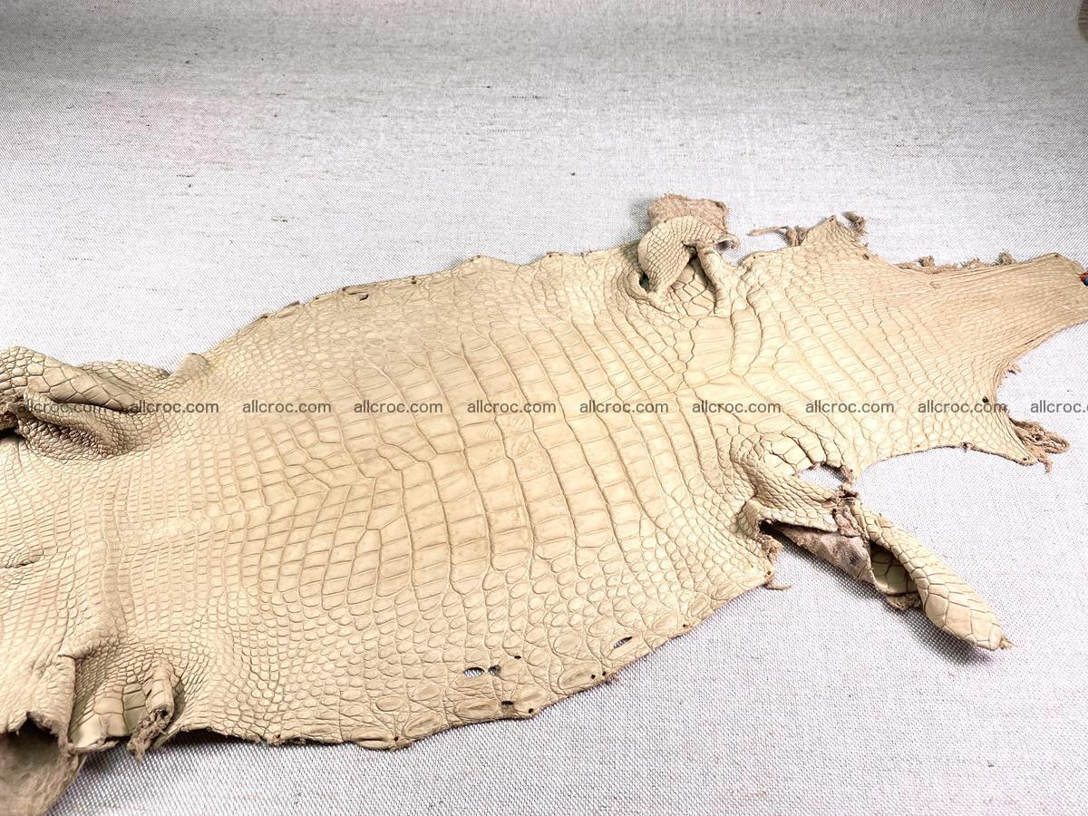Crocodile skin belly part 30cm cream sand color 1469 Foto 2