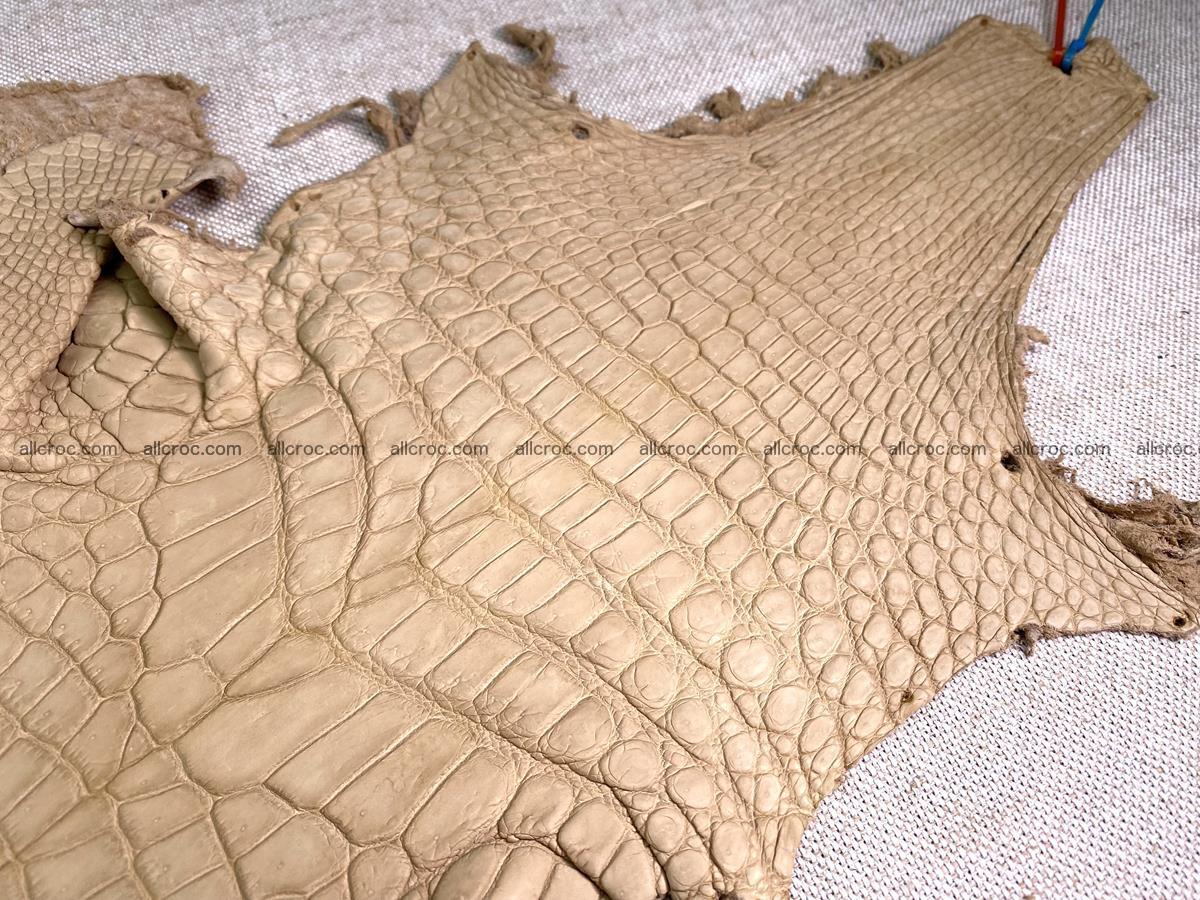 Crocodile skin belly part 30cm cream sand color 1469 Foto 3