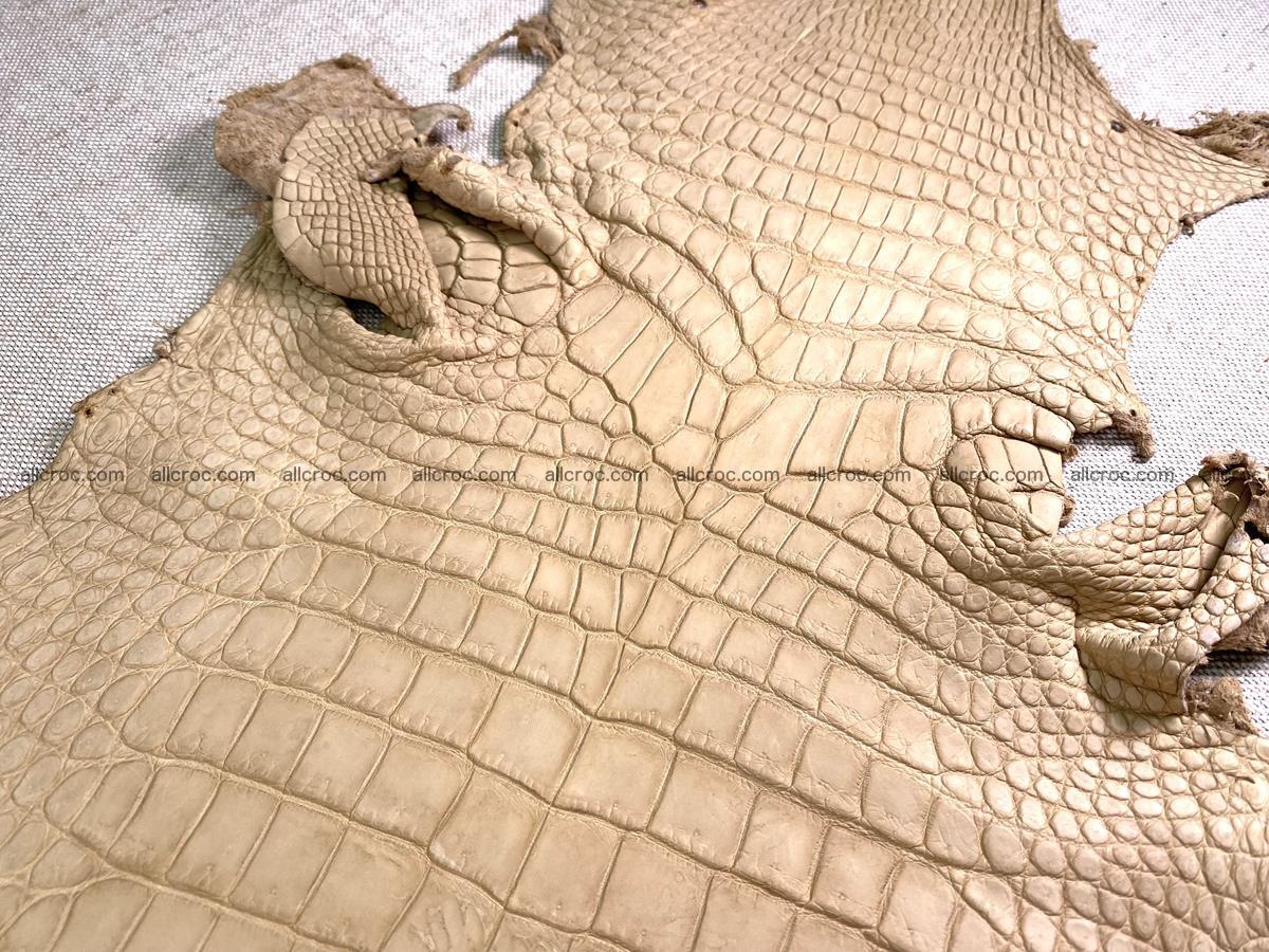 Crocodile skin belly part 30cm cream sand color 1469 Foto 4