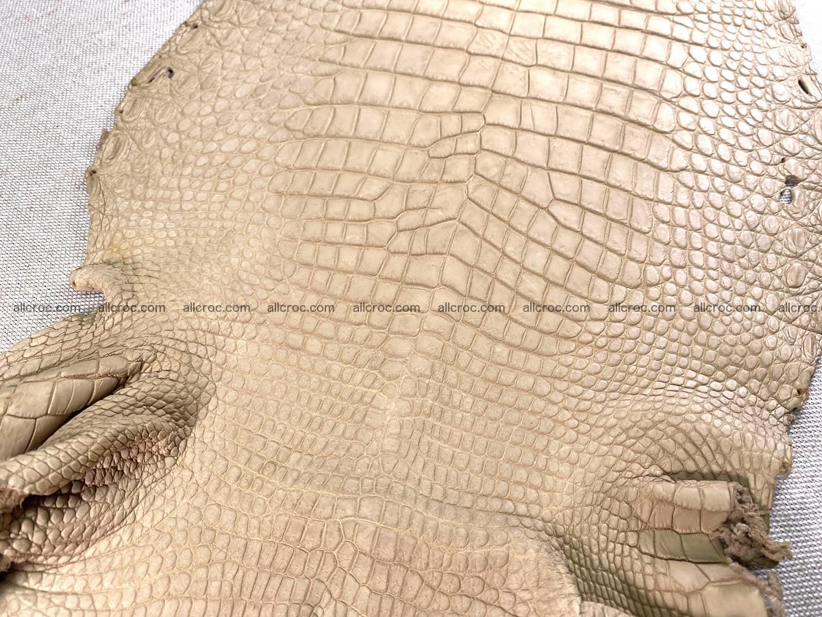 Crocodile skin belly part 30cm cream sand color 1469 Foto 1