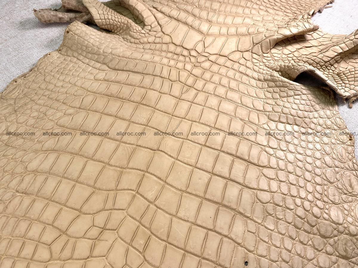 Crocodile skin belly part 35cm cream sand color 1470 Foto 0