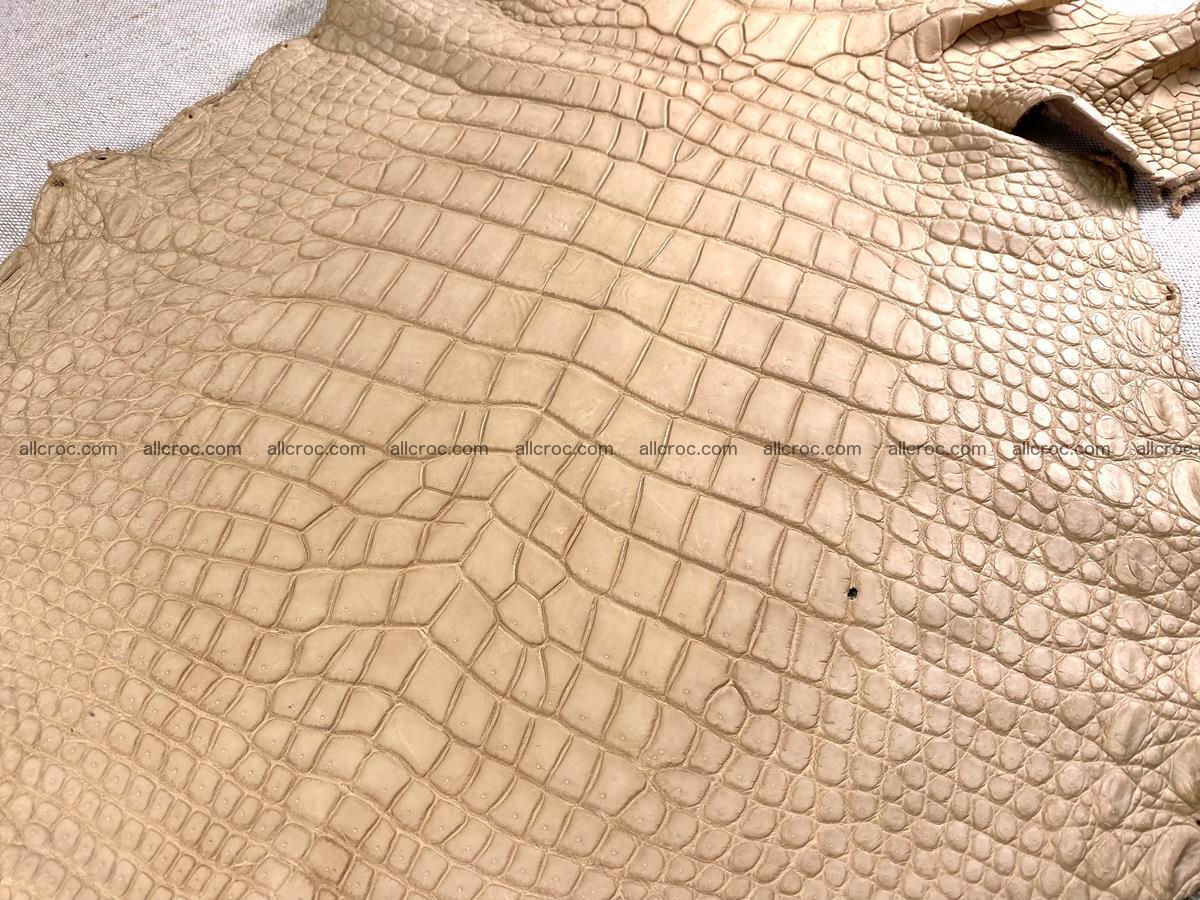 Crocodile skin belly part 35cm cream sand color 1470 Foto 1