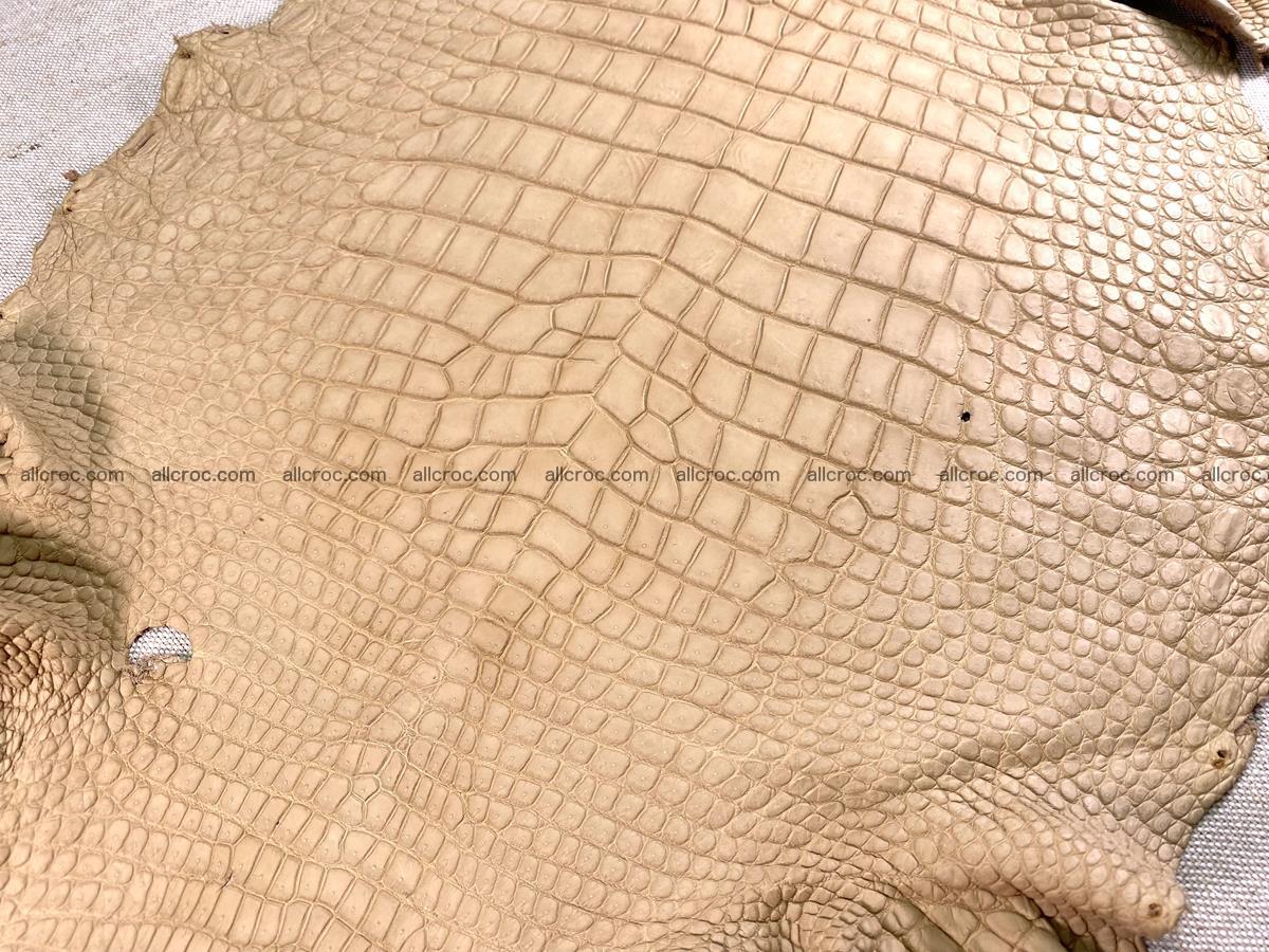 Crocodile skin belly part 35cm cream sand color 1470 Foto 2