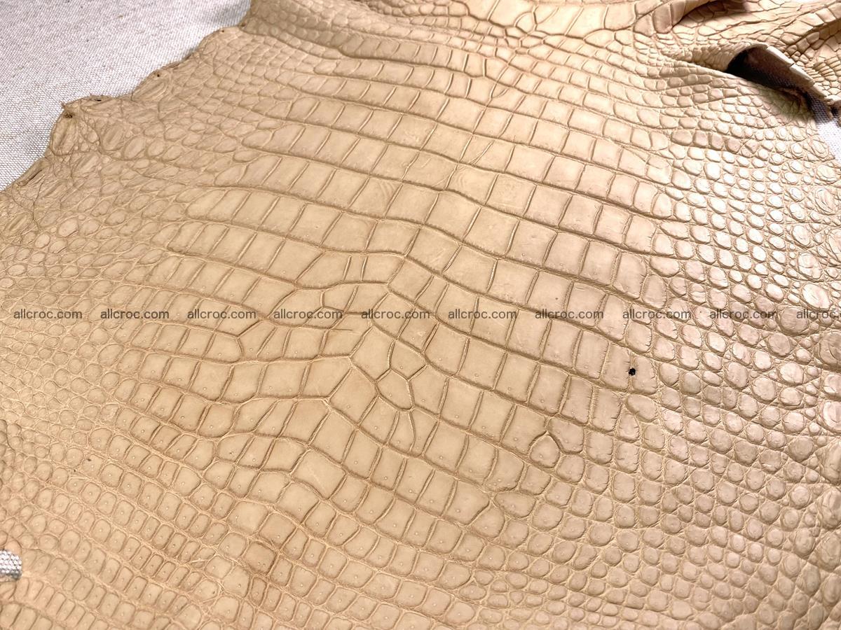 Crocodile skin belly part 35cm cream sand color 1470 Foto 3
