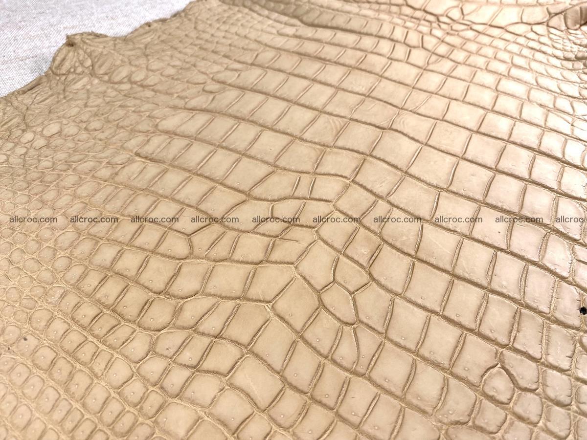 Crocodile skin belly part 35cm cream sand color 1470 Foto 4