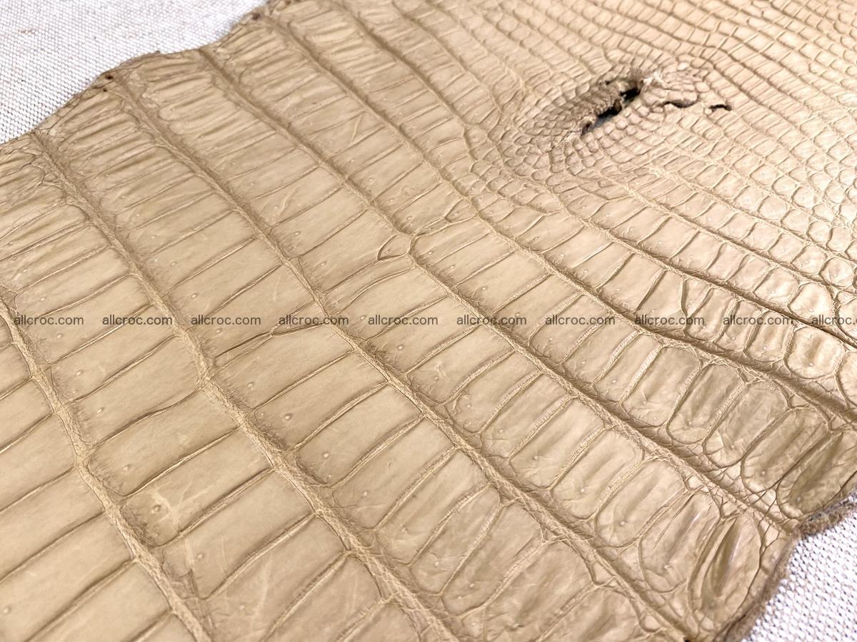 Crocodile skin belly part 35cm cream sand color 1470 Foto 5
