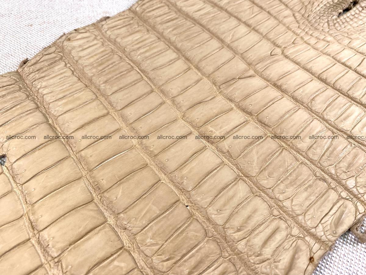Crocodile skin belly part 35cm cream sand color 1470 Foto 6