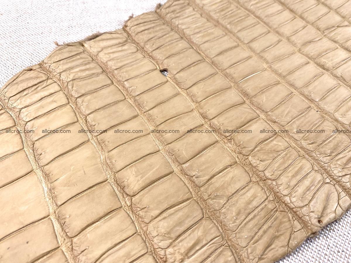Crocodile skin belly part 35cm cream sand color 1470 Foto 7