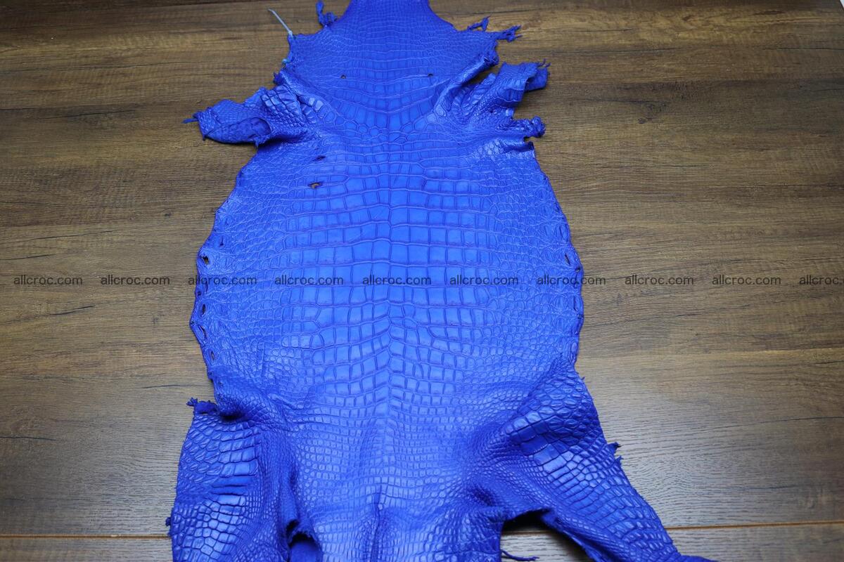 Crocodile skin belly electric blue color 1228 Foto 0