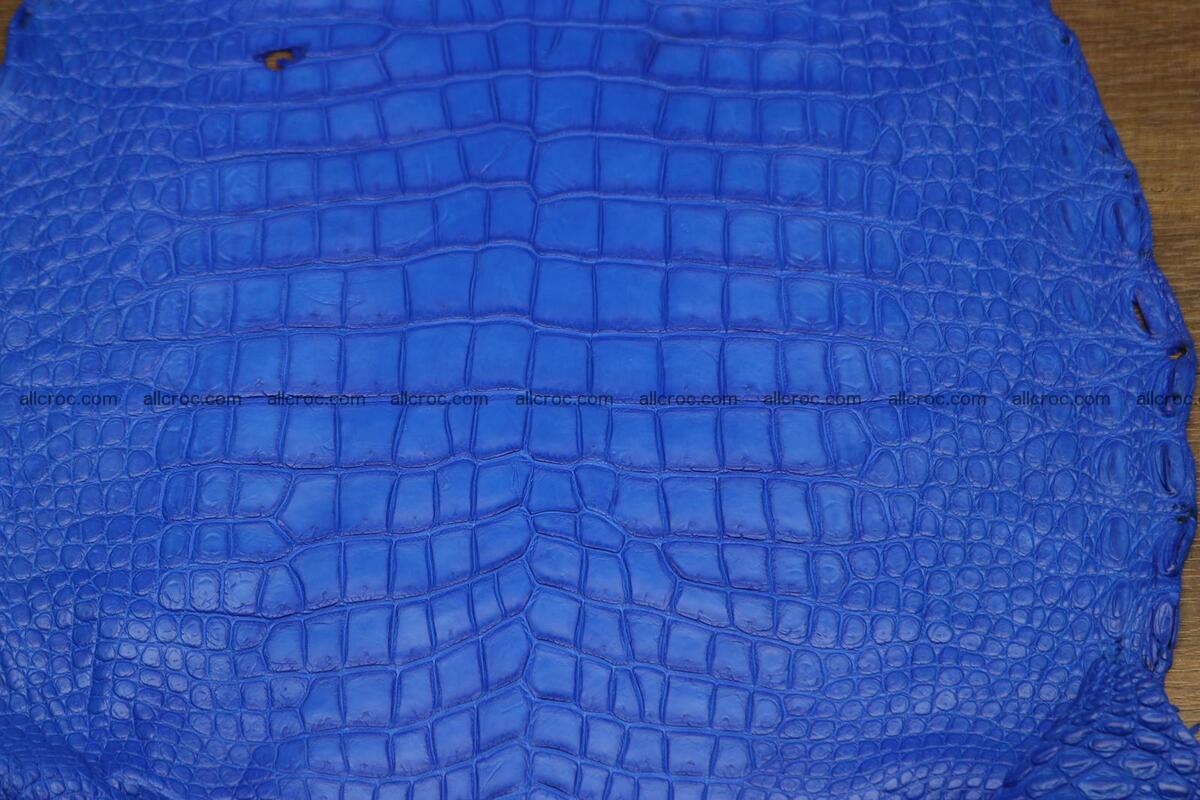 Crocodile skin belly electric blue color 1228 Foto 1