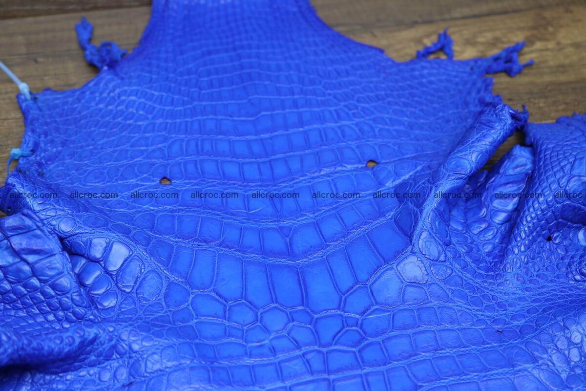 Crocodile skin belly electric blue color 1228 Foto 2