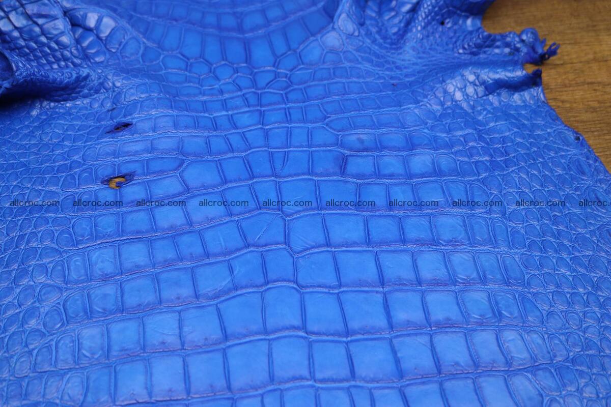 Crocodile skin belly electric blue color 1228 Foto 3
