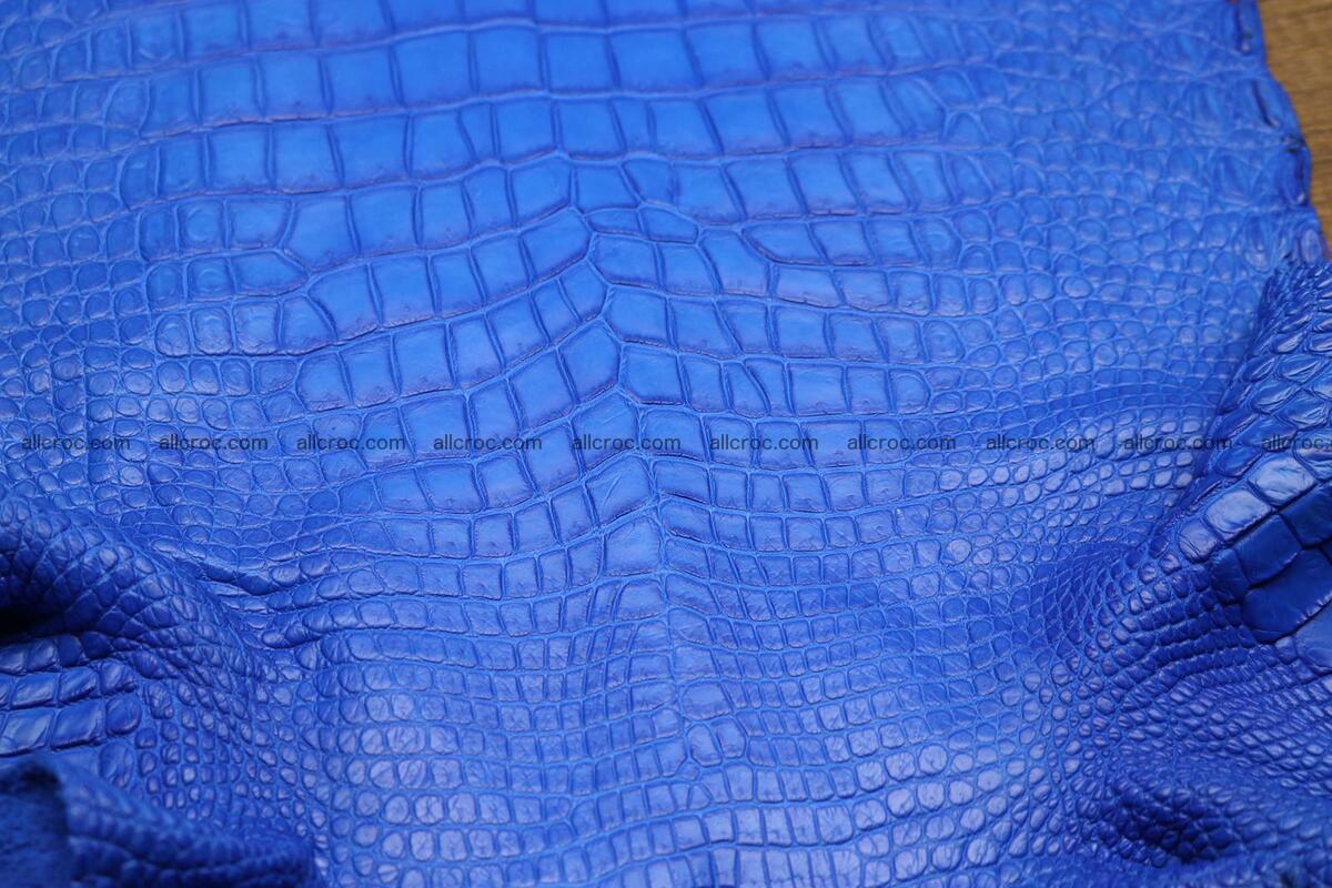 Crocodile skin belly electric blue color 1228 Foto 5