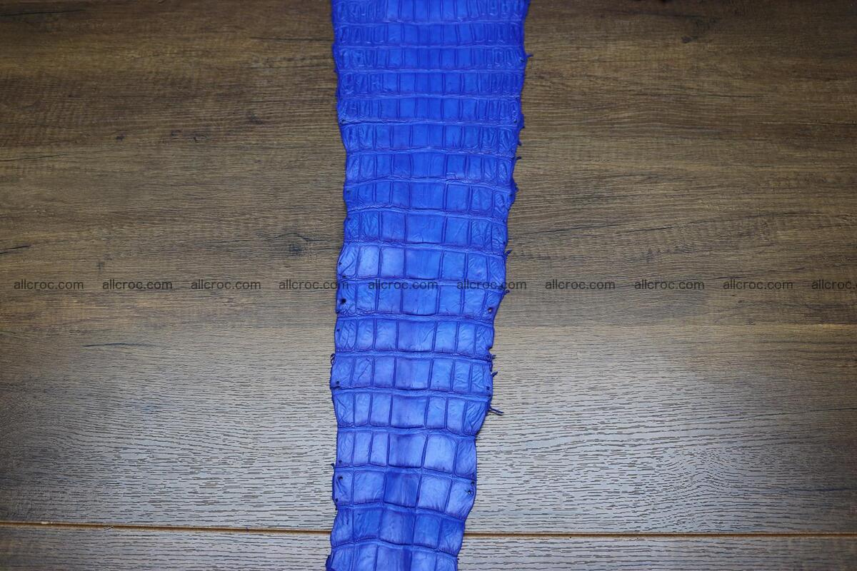 Crocodile skin belly electric blue color 1228 Foto 8