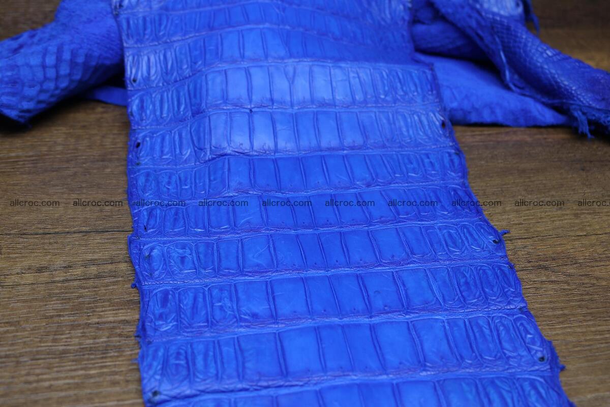 Crocodile skin belly electric blue color 1228 Foto 9