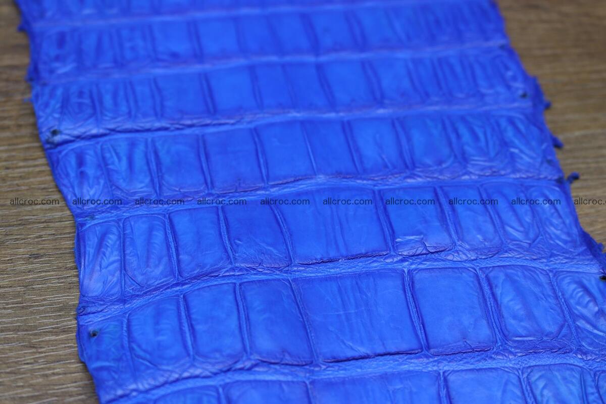 Crocodile skin belly electric blue color 1228 Foto 10