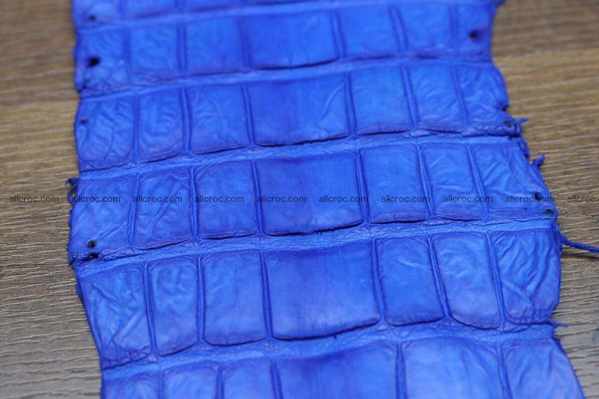 Crocodile skin belly electric blue color 1228 Foto 11
