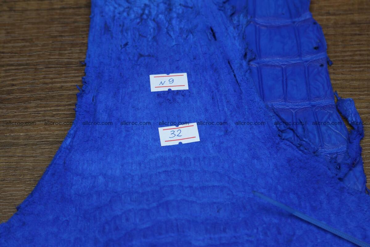 Crocodile skin belly electric blue color 1228 Foto 12