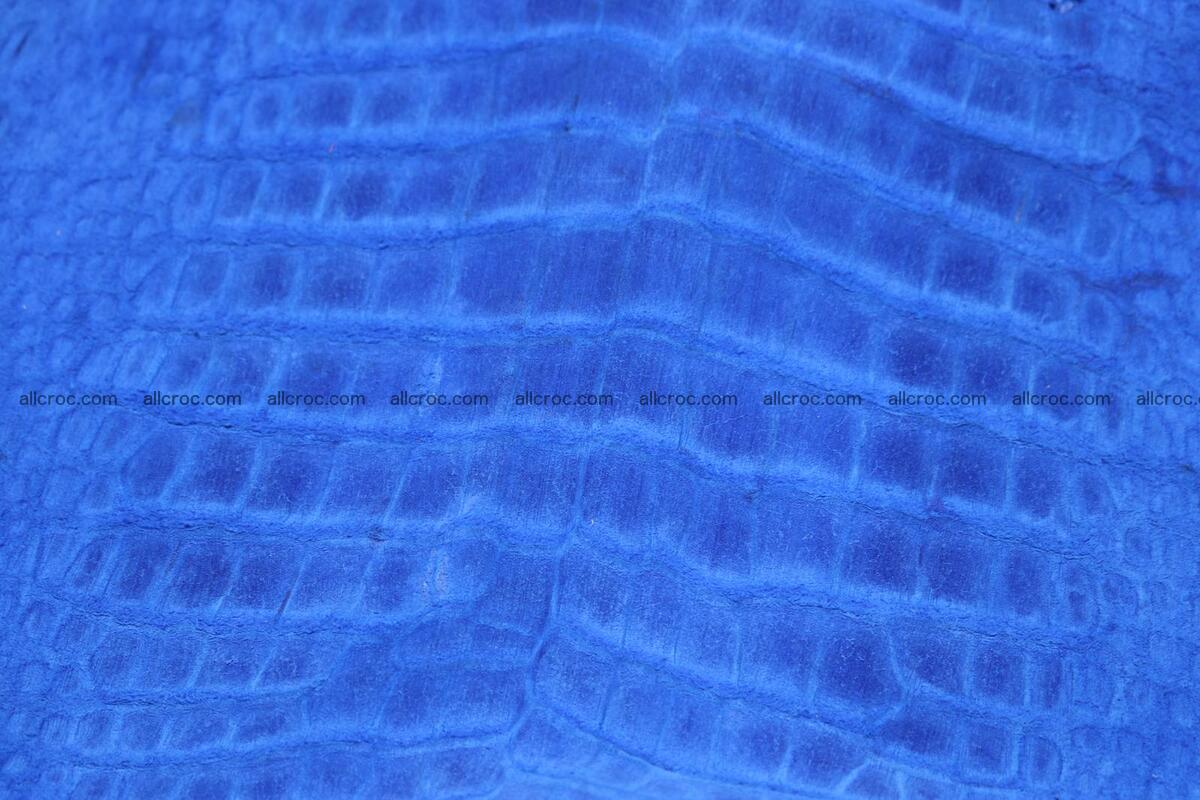 Crocodile skin belly electric blue color 1228 Foto 13
