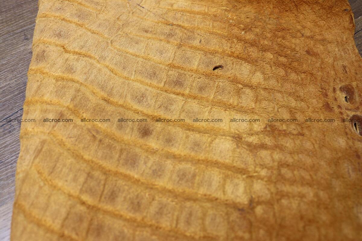 Crocodile skin belly gold color 1233 Foto 9