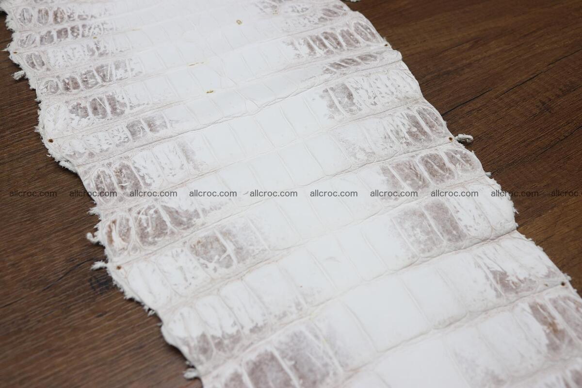 Crocodile skin belly himalayan color 1232 Foto 9