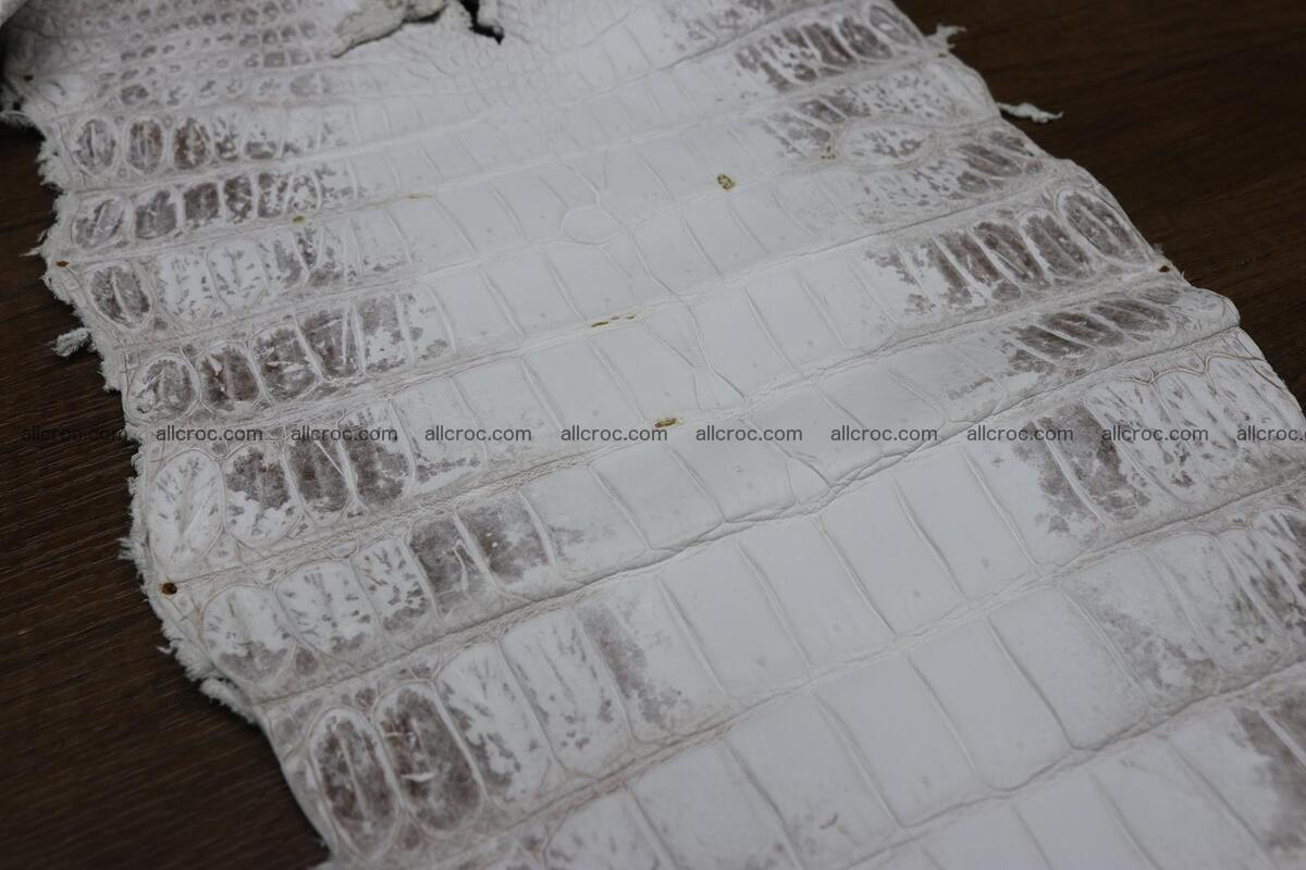 Crocodile skin belly himalayan color 1232 Foto 10