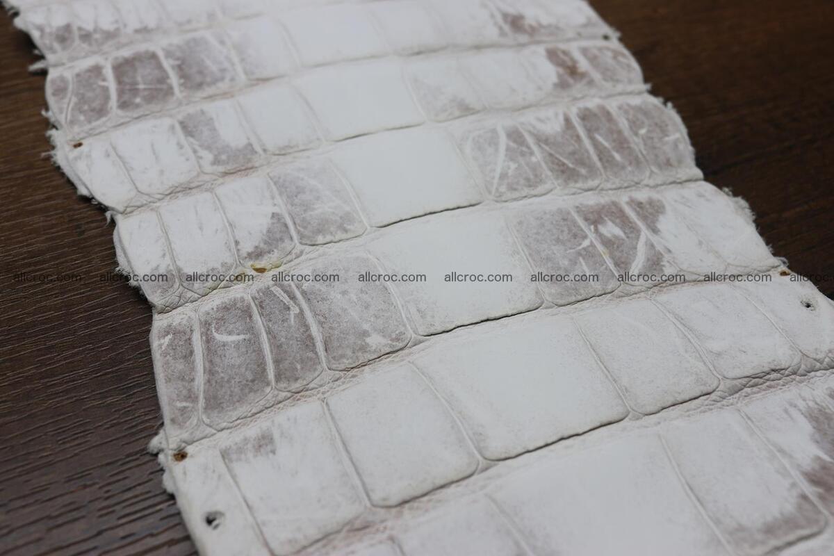 Crocodile skin belly himalayan color 1232 Foto 11
